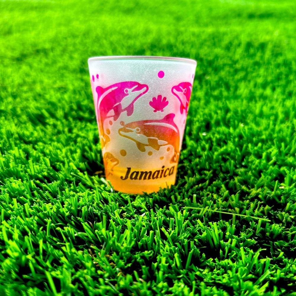 🐬🐬Jamaica souvenir Shot glasses (set of 4) 🐬🐬
